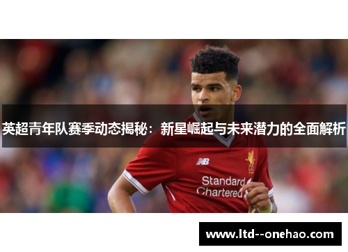 英超青年队赛季动态揭秘：新星崛起与未来潜力的全面解析
