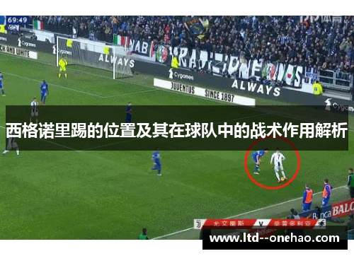 西格诺里踢的位置及其在球队中的战术作用解析