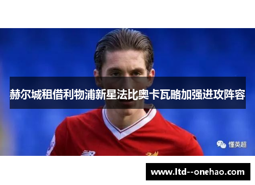 赫尔城租借利物浦新星法比奥卡瓦略加强进攻阵容