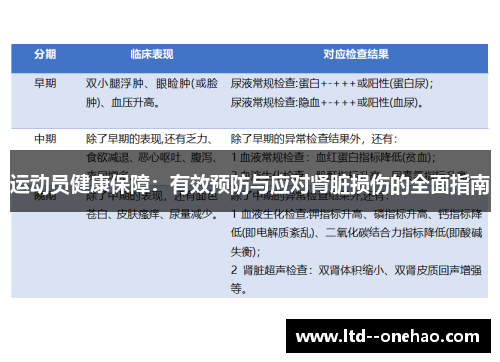 运动员健康保障：有效预防与应对肾脏损伤的全面指南