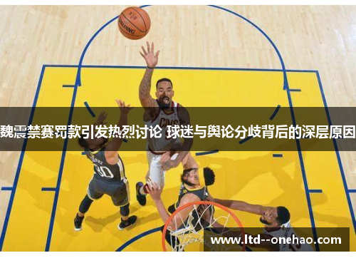 魏震禁赛罚款引发热烈讨论 球迷与舆论分歧背后的深层原因