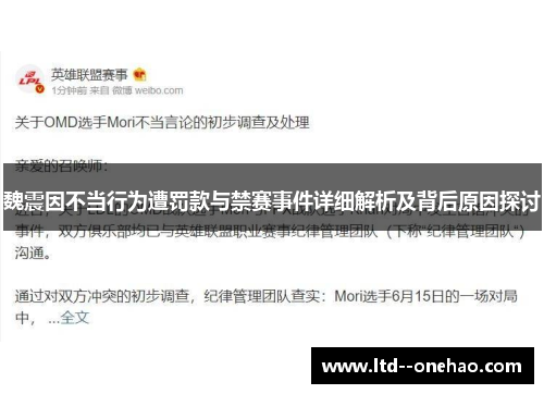 魏震因不当行为遭罚款与禁赛事件详细解析及背后原因探讨