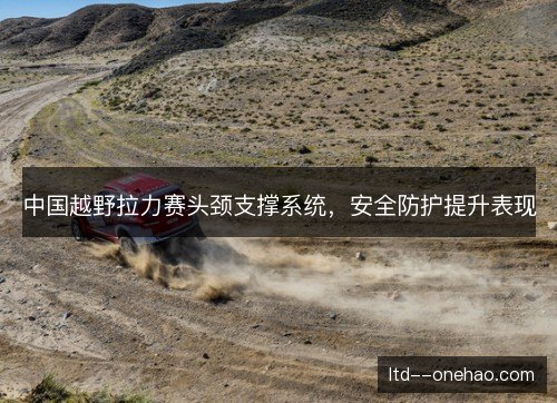 中国越野拉力赛头颈支撑系统，安全防护提升表现